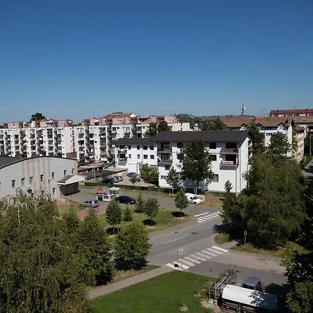 Apartment Drincic I